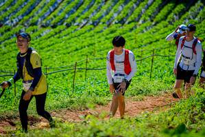 BIB: 255, 2084, 1201
                            <button type="button" onclick="openModal(19163691)" class="btn btn-primary btn-sm float-right btn-popup" data-toggle="modal" data-target=".modal-high-quality">
                        <i class="fas fa-shopping-cart"></i> Add to Cart
                    </button>
                                            <button type="button" onclick="isThisMe(19163691, true)" class="btn btn-success btn-sm float-right btn-popup btn-isme hidden" data-toggle="tooltip" data-placement="bottom" title="นี่คือรูปของคุณใช่ไหม คลิกที่นี่เพื่อเอาเข้าอัลบั้ม">
                        <i class="fas fa-plus"></i> Add to album
                    </button>
                    <button type="button" onclick="isThisMe(19163691, false)" class="btn btn-warning btn-sm float-right btn-popup btn-isnotme hidden">
                        <i class="fas fa-ban"></i> Remove from album
                    </button>